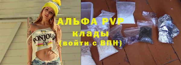 соль ск Новодвинск
