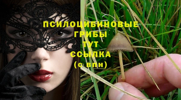 таблы Новозыбков