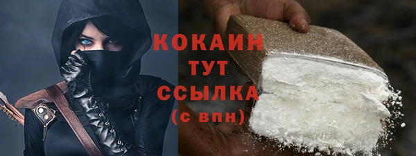 соль ск Новодвинск