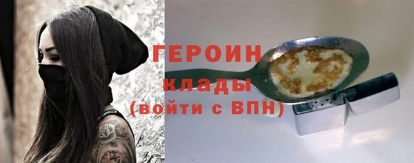 гашик Няндома
