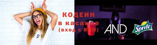 таблы Новозыбков