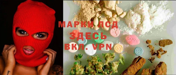 соль ск Новодвинск
