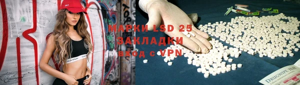 таблы Новозыбков